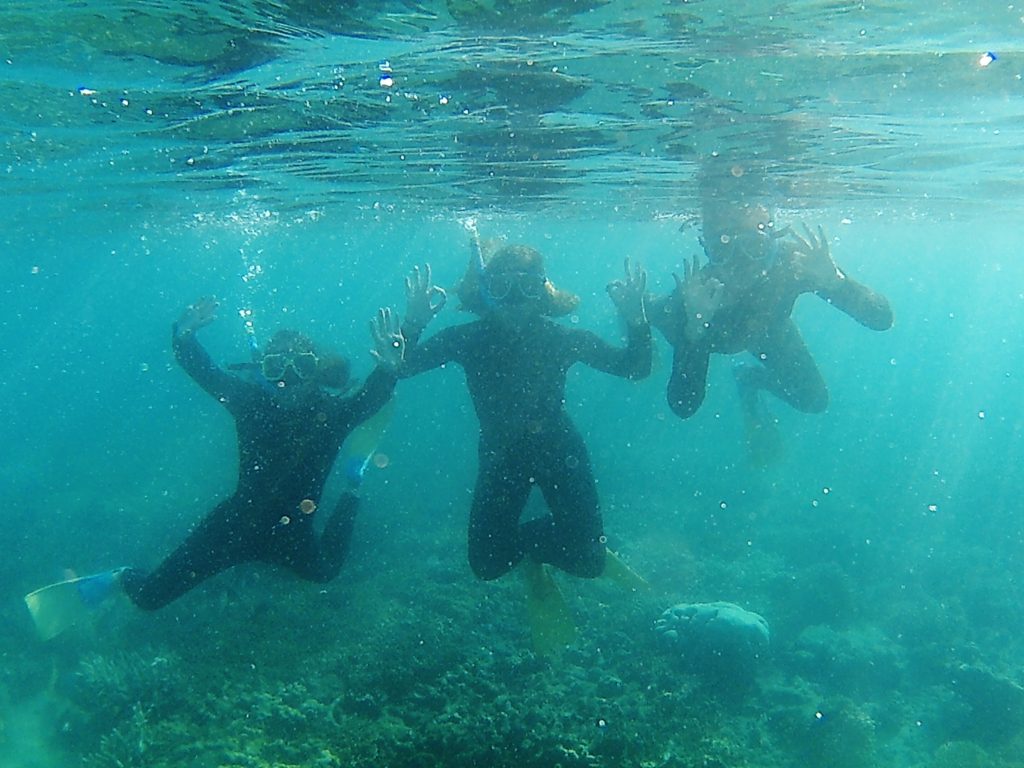 Snorkelling at the Whitsunday Islands, Australia