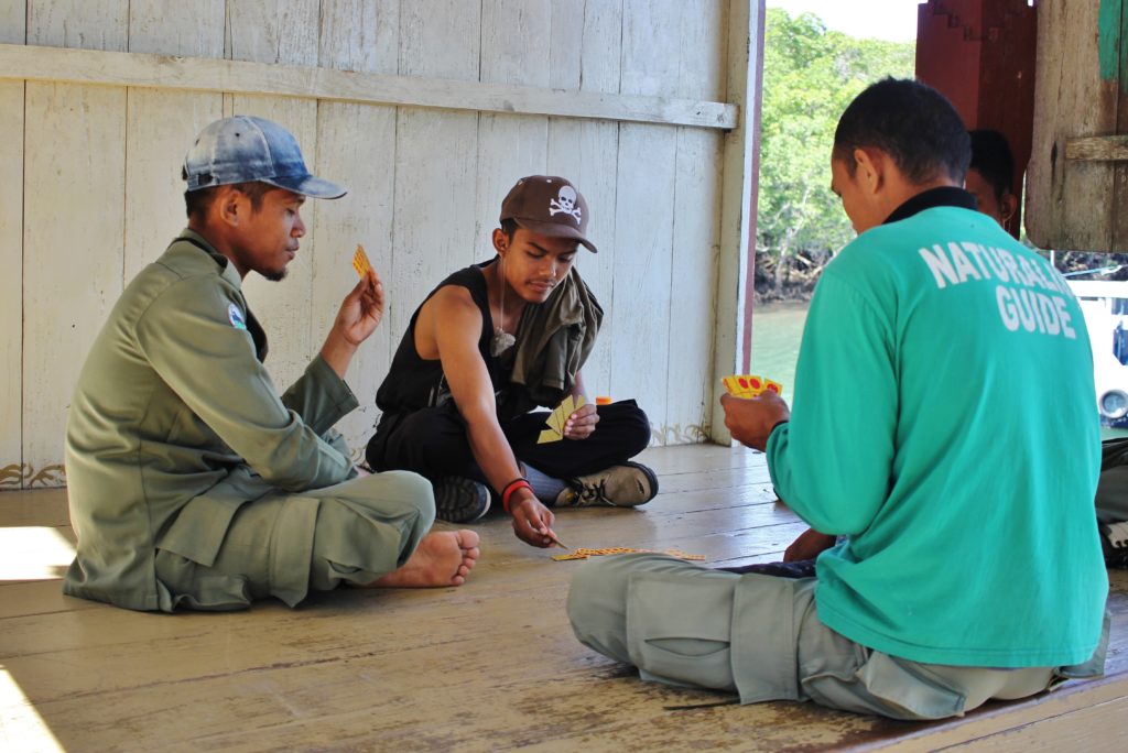 Komodo rangers playing cards