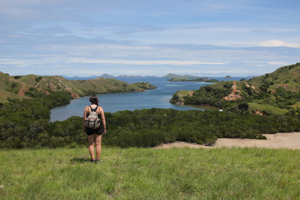 Komodo National Park view from the top of the island, Indonesia