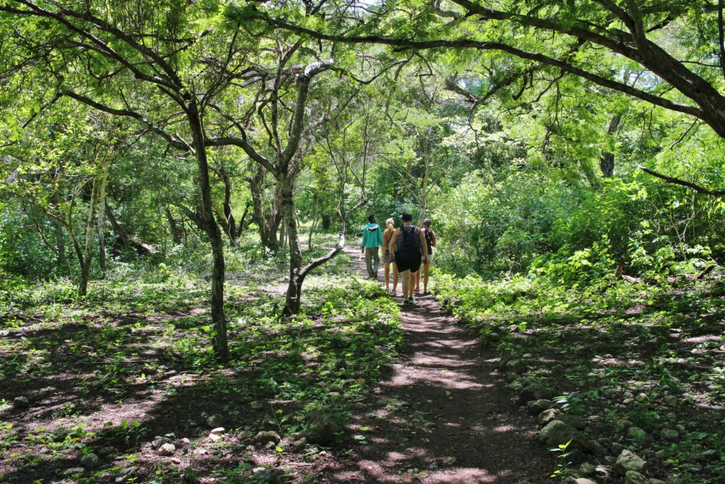 A walk through Komodo National Park, Indonesia