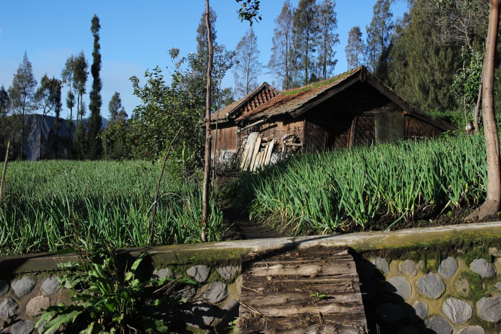 A small house near Mount Bromo, Indonesia