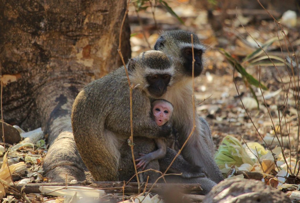 Monster's baby with her two kidnappers, Malawi