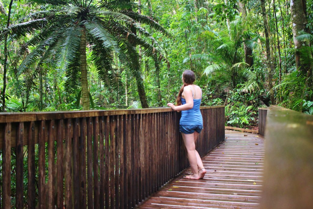 On the boardwalk in Daintree Rainforest, Australia