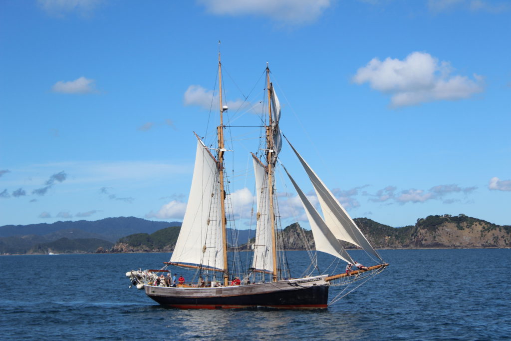Sailing ship in the Bay of Islands, New Zealand