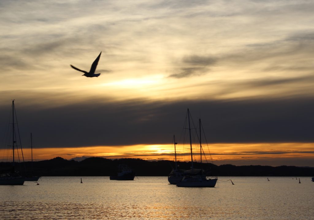 Sunset over the boats in the Bay of Islands, New Zealand