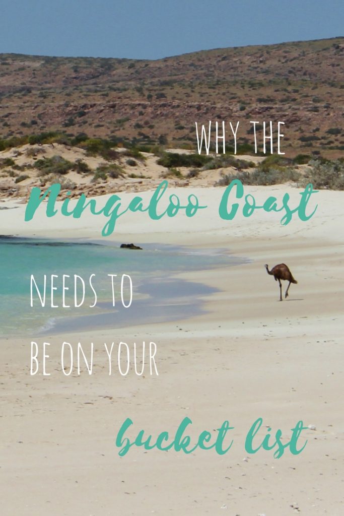 Why the Ningaloo Coast needs to be on your Australia bucket list