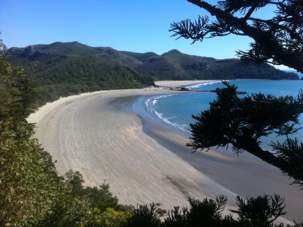 Looking down on the beach at Cape Hillsborough, Australia