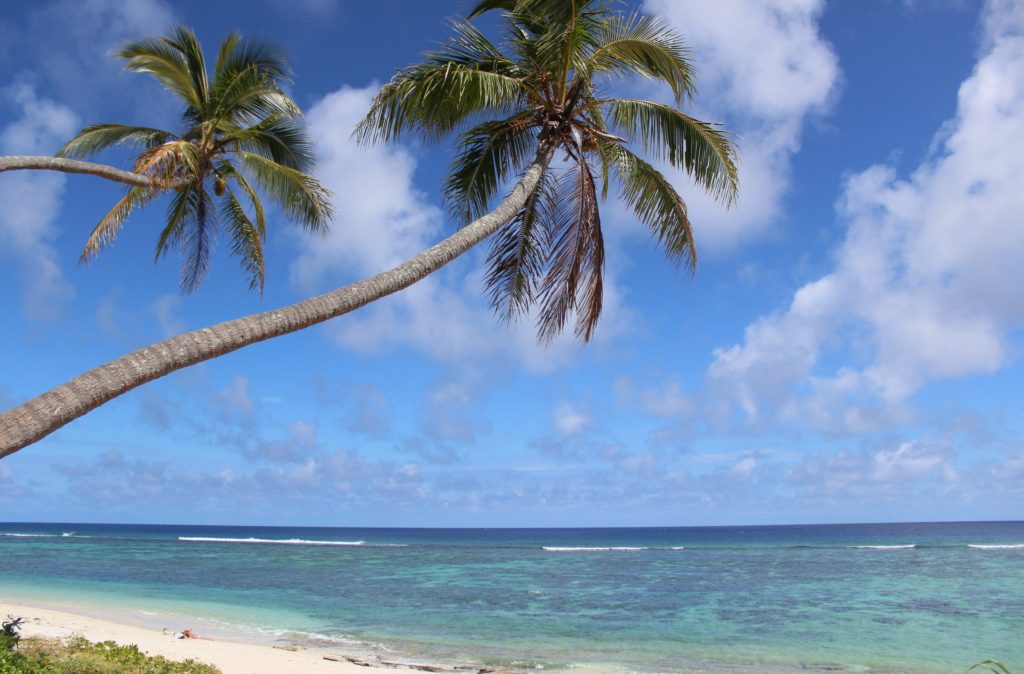 Palm trees over the ocean in Tonga