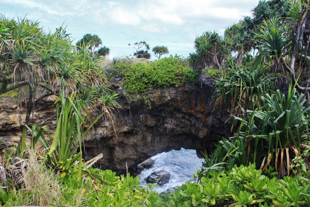 A sea arch in Tonga