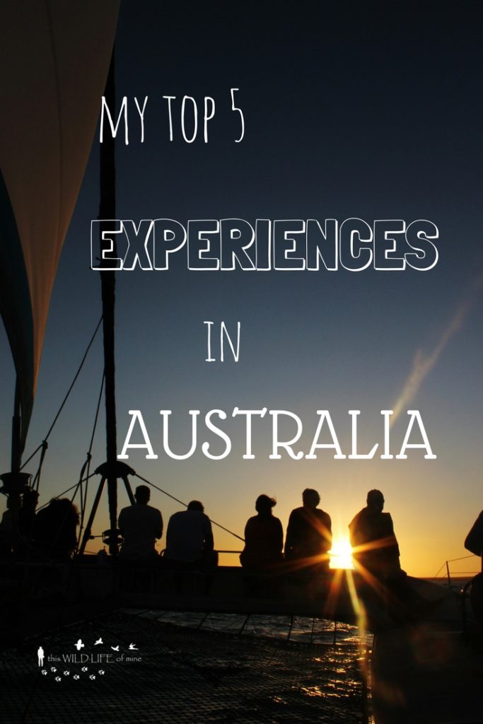 My top 5 experiences in Australia