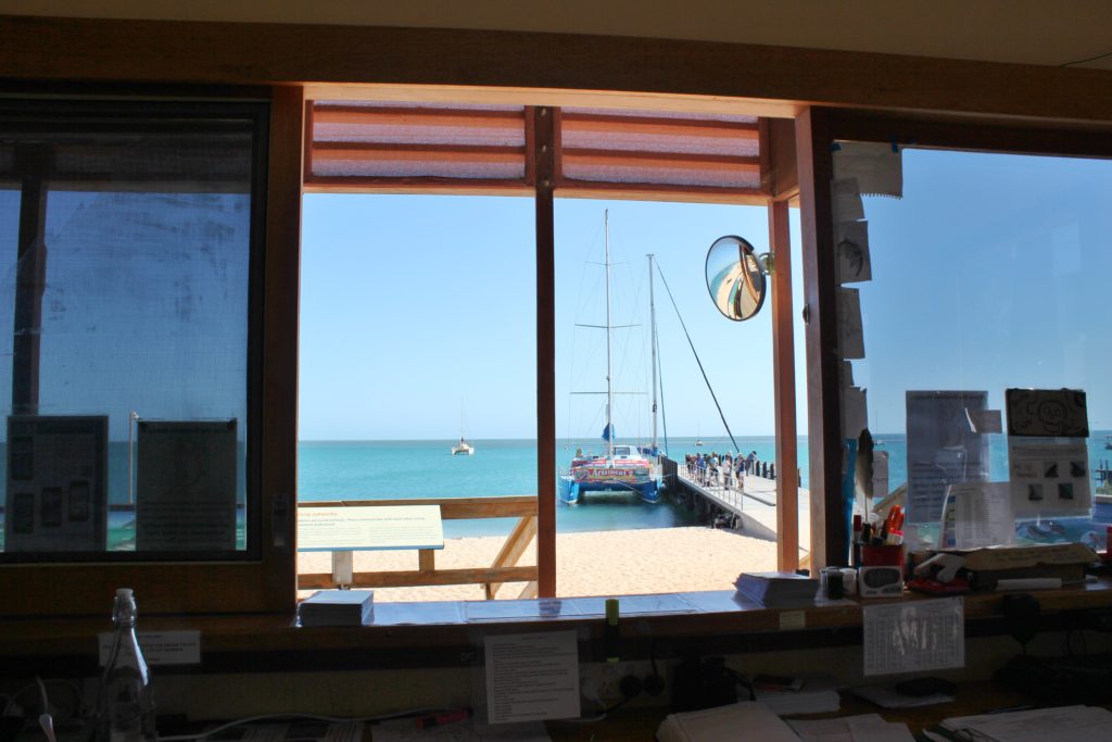 View from the office, Monkey Mia, Australia