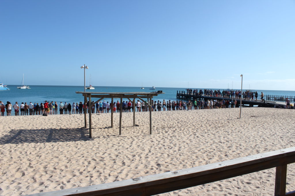 Crowds of tourists, Monkey Mia, Australia