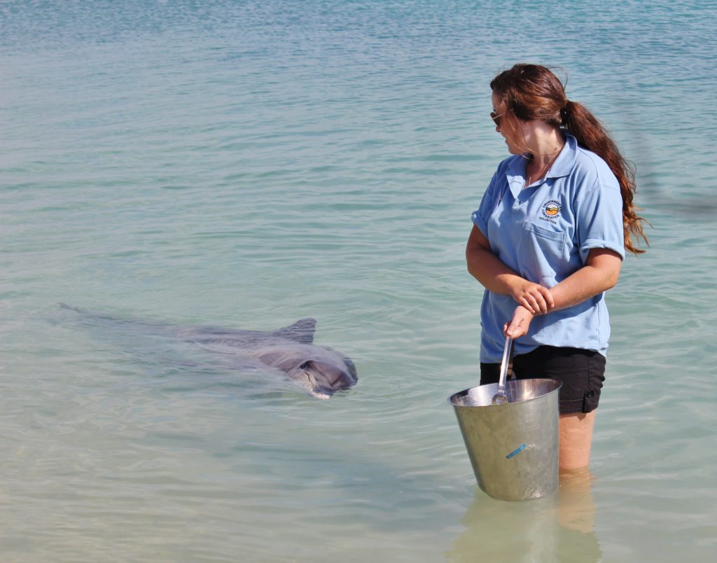 Waiting to feed the dolphins at Monkey Mia, Australia