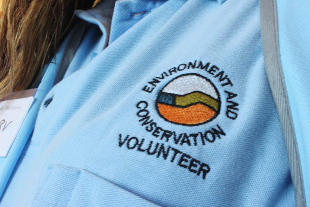 Volunteer at Monkey Mia, Australia