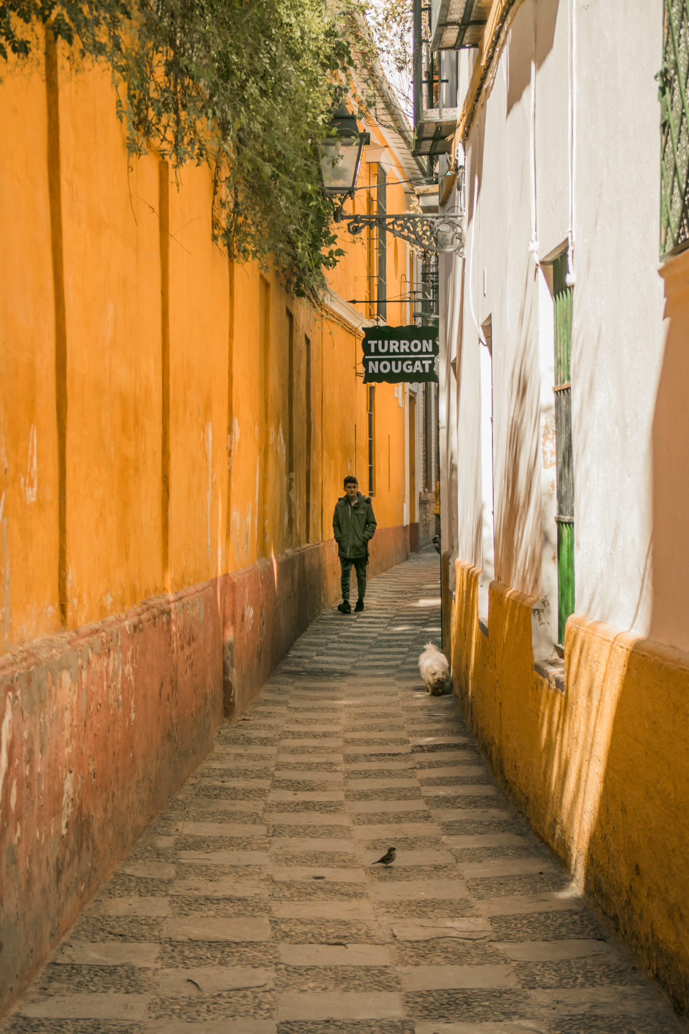 The yellow streets of Seville's Jewish Quarter, Spain