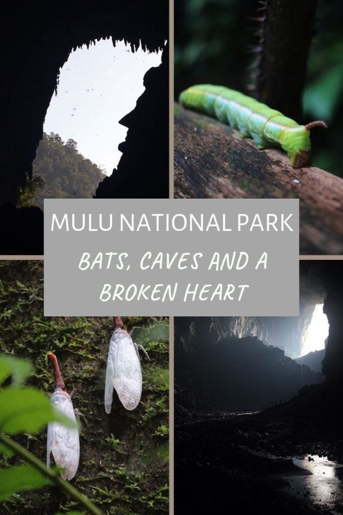 Healing a broken heart in Mulu National Park, Malaysia