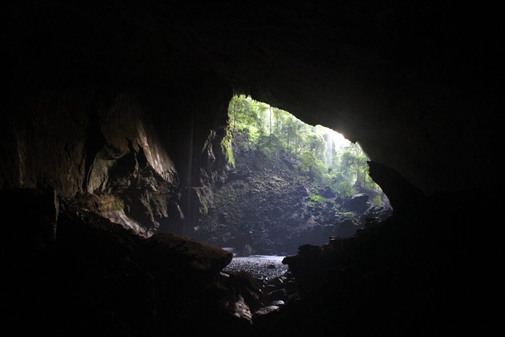 A bright area inside a cave, full of forest