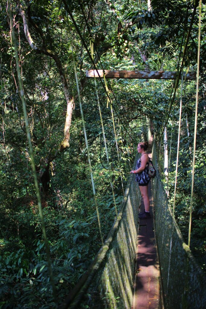 A woman stands on a rope bridge between trees in a forest