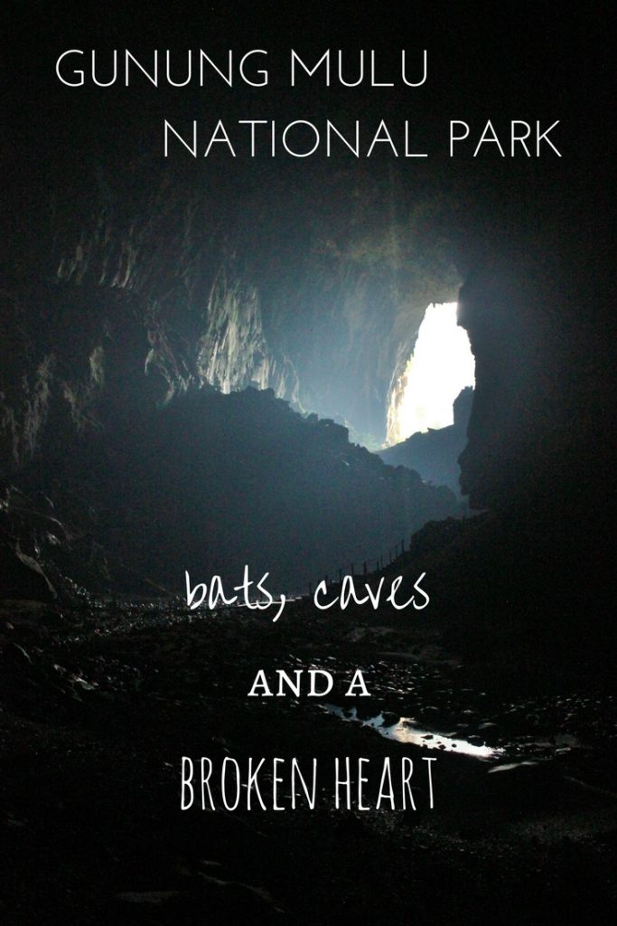 Bats, Caves and a Broken Heart - Mulu National Park