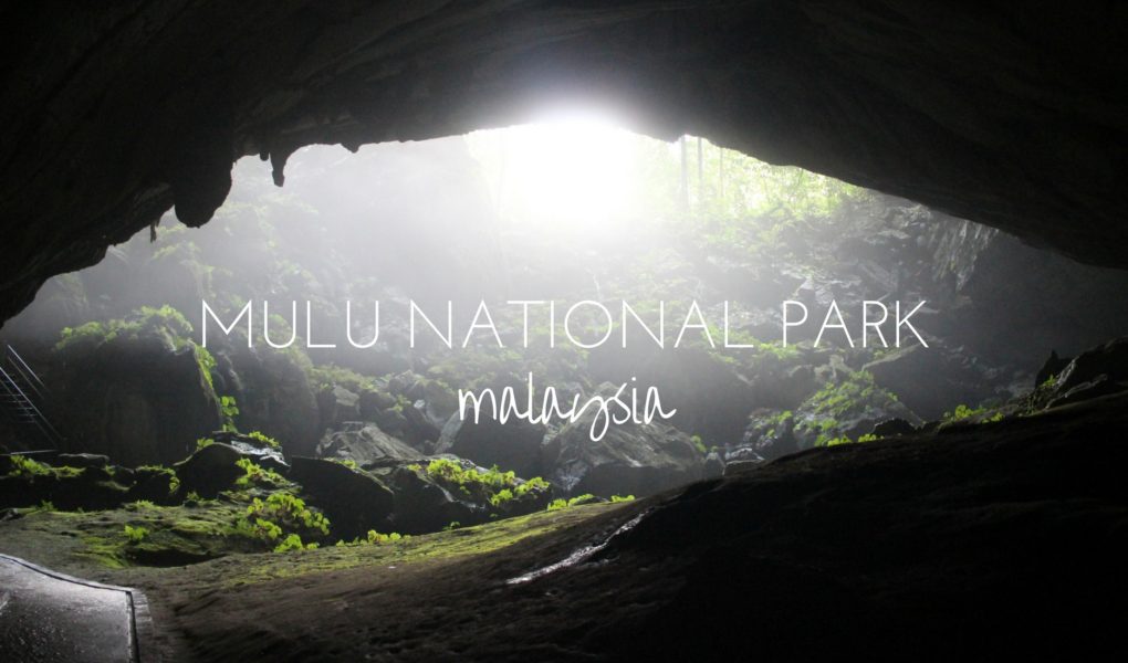 Mulu National Park