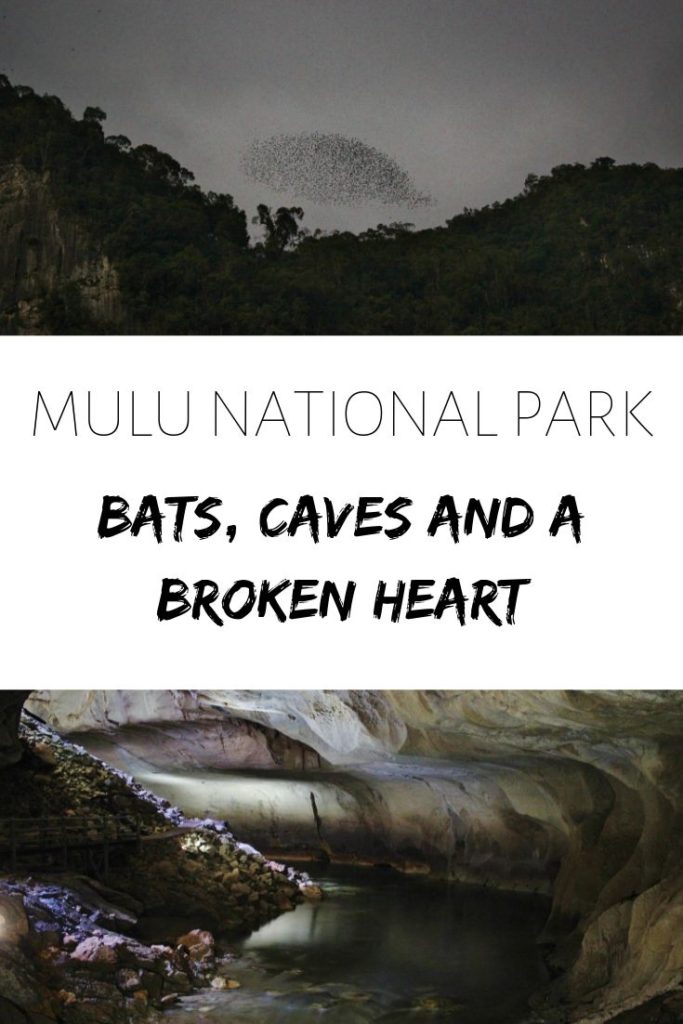Bats, Caves and a Broken Heart in Mulu National Park, Malaysia