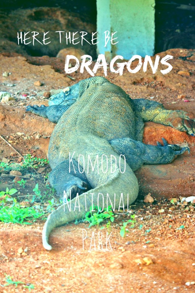 The Dragons of Komodo National Park, Indonesia