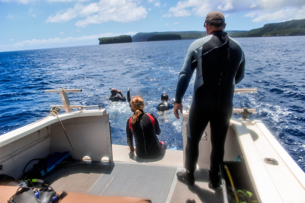 Slipping off the boat into the water with the humpback whales, Vava'u, Tonga