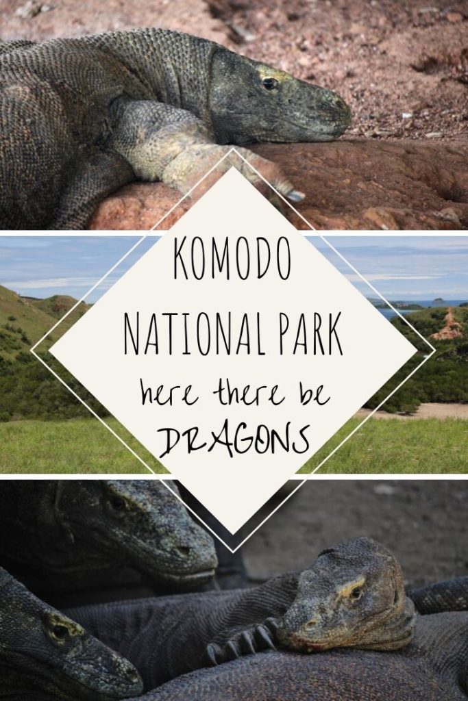 Komodo National Park - here there be dragons