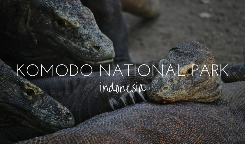 Komodo National Park, Indonesia