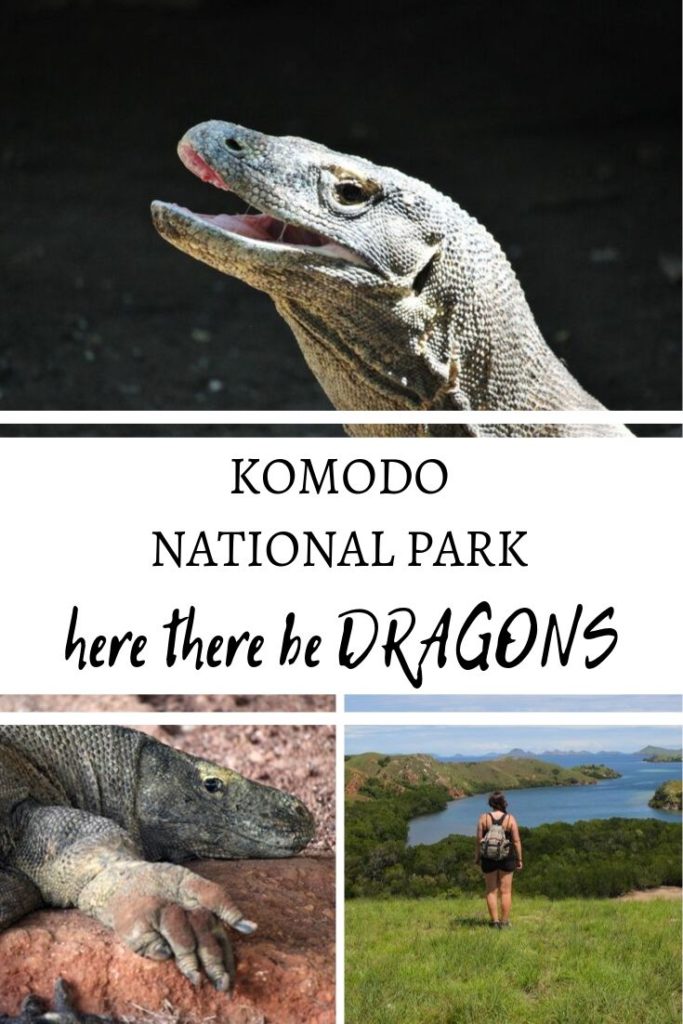 Komodo National Park - here there be dragons