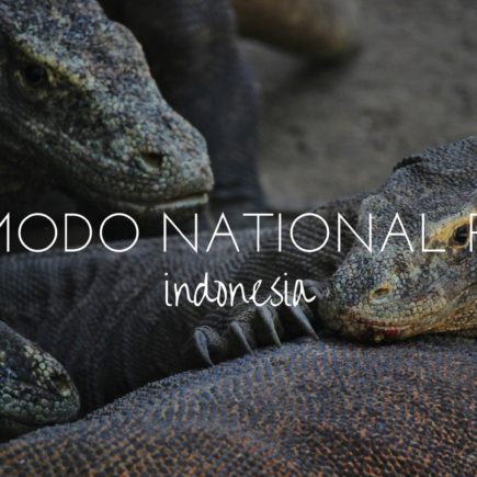Komodo National Park, Indonesia