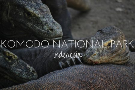 Komodo National Park, Indonesia