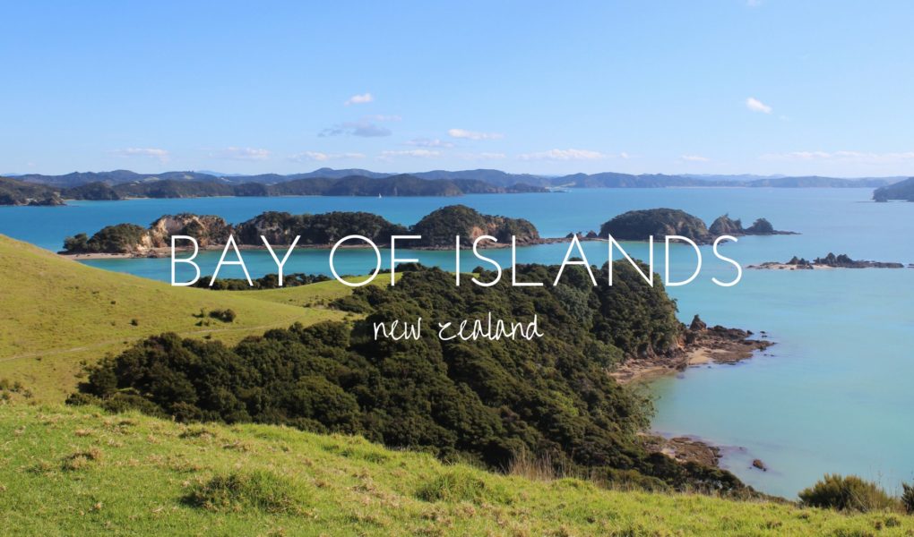 Take in the sights of the beautiful Bay of Islands at the top of New Zealand's North Island