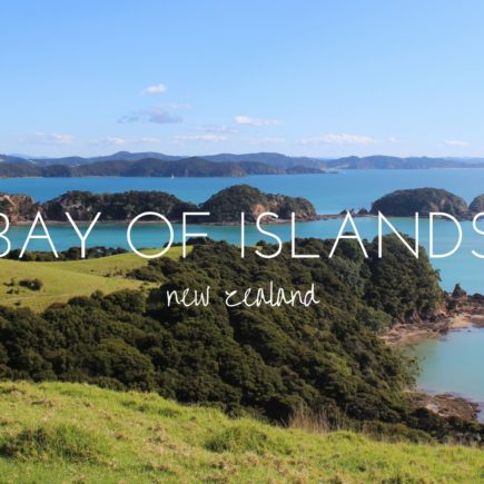 Take in the sights of the beautiful Bay of Islands at the top of New Zealand's North Island