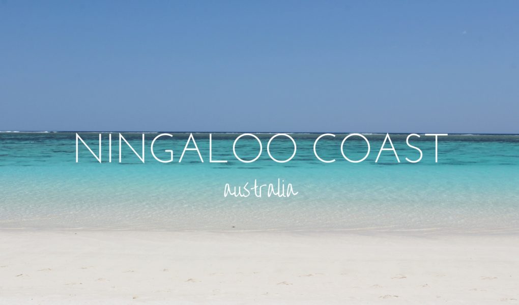 Why the Ningaloo Coast needs to be on your Australia bucket list
