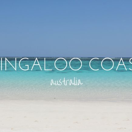 Why the Ningaloo Coast needs to be on your Australia bucket list