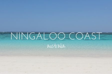 Why the Ningaloo Coast needs to be on your Australia bucket list