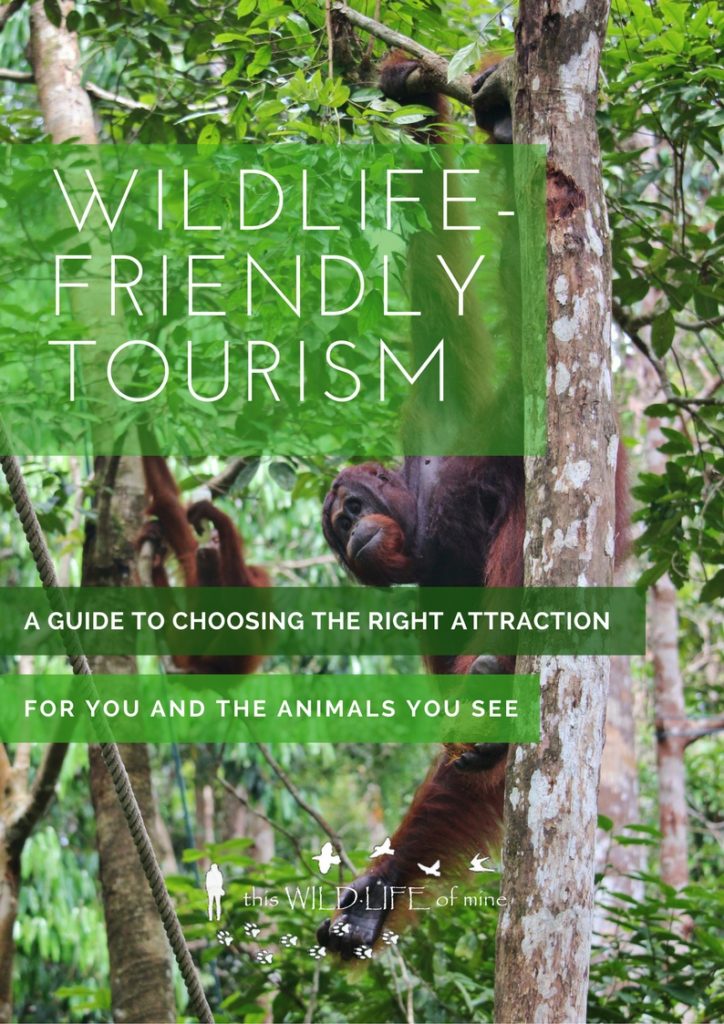 promote wildlife tourism