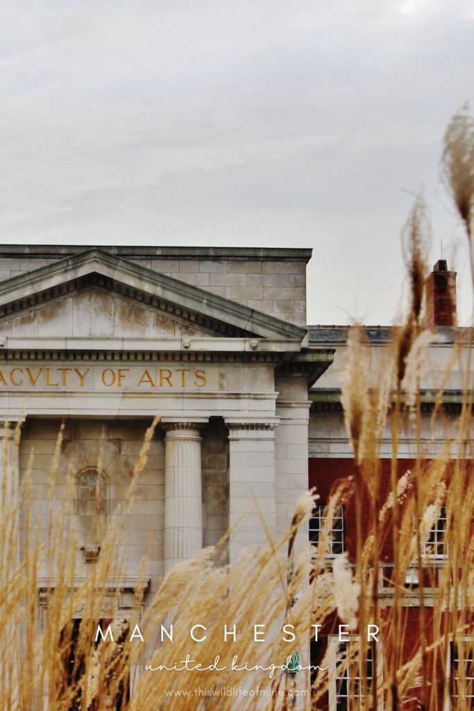 The best free photo spots in Manchester