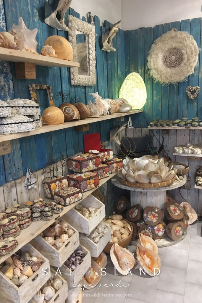 My favourite place on Sal Island, Cape Verde