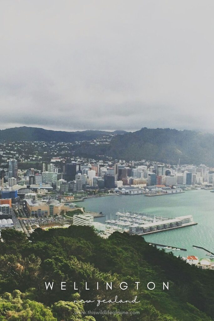 How to spend three days in Wellington, New Zealand's cool little capital