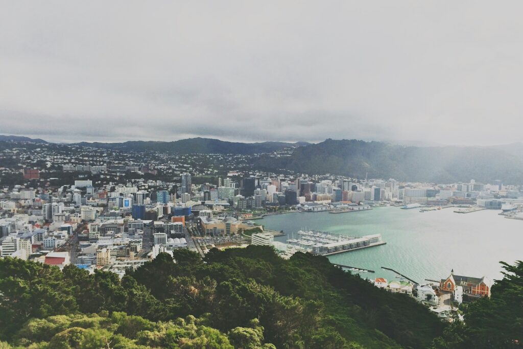 Looking over Wellington city and it's harbour from the top of Mount Victoria