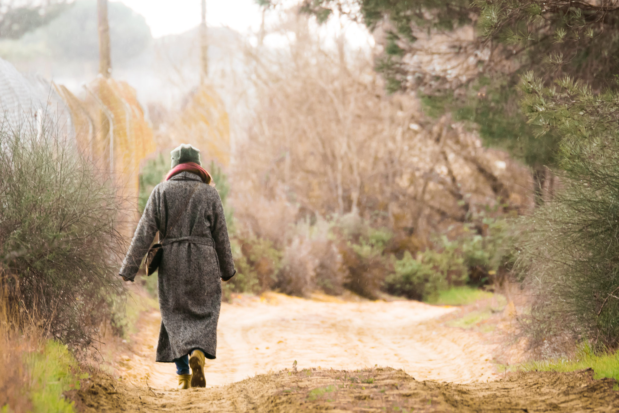 Walking around El Rocío and nearby Donana National Park is one of many amazing day trips from Seville, Spain