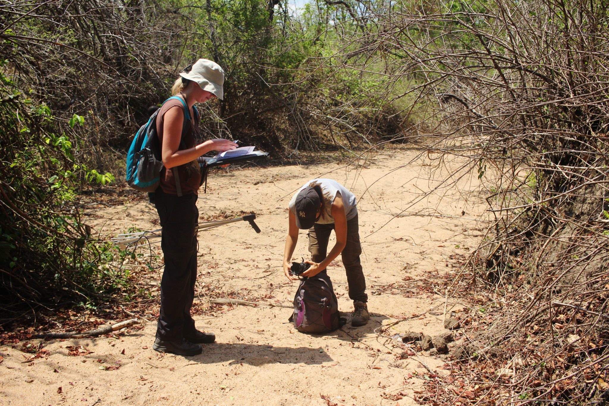 Tracking hyenas in Liwonde National Park, Malawi
