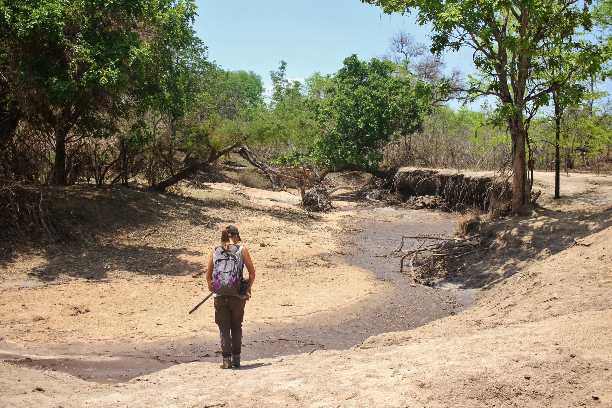 Walking through Liwonde National Park, Malawi