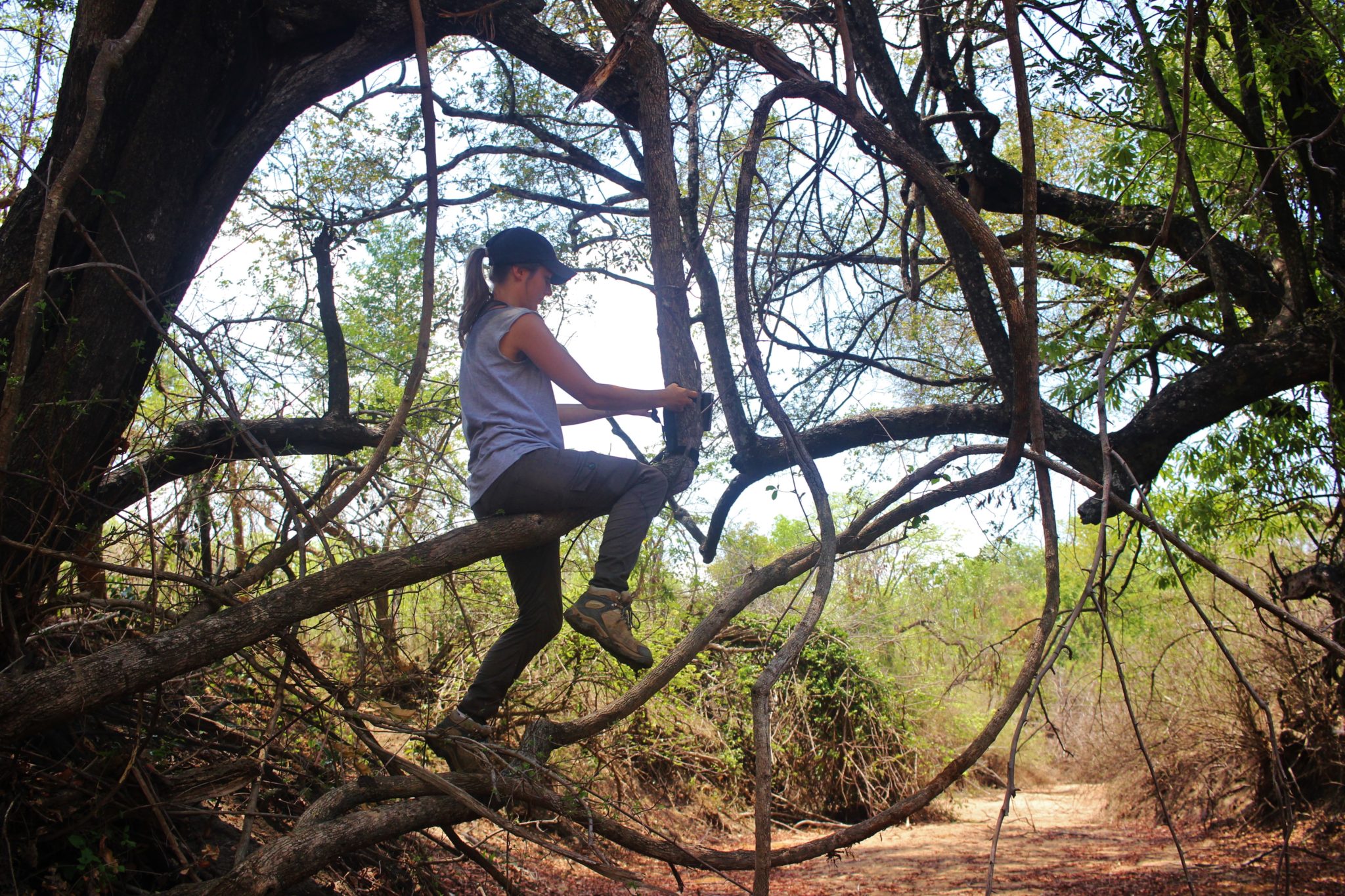 Setting up a camera trap in Liwonde National Park, Malawi