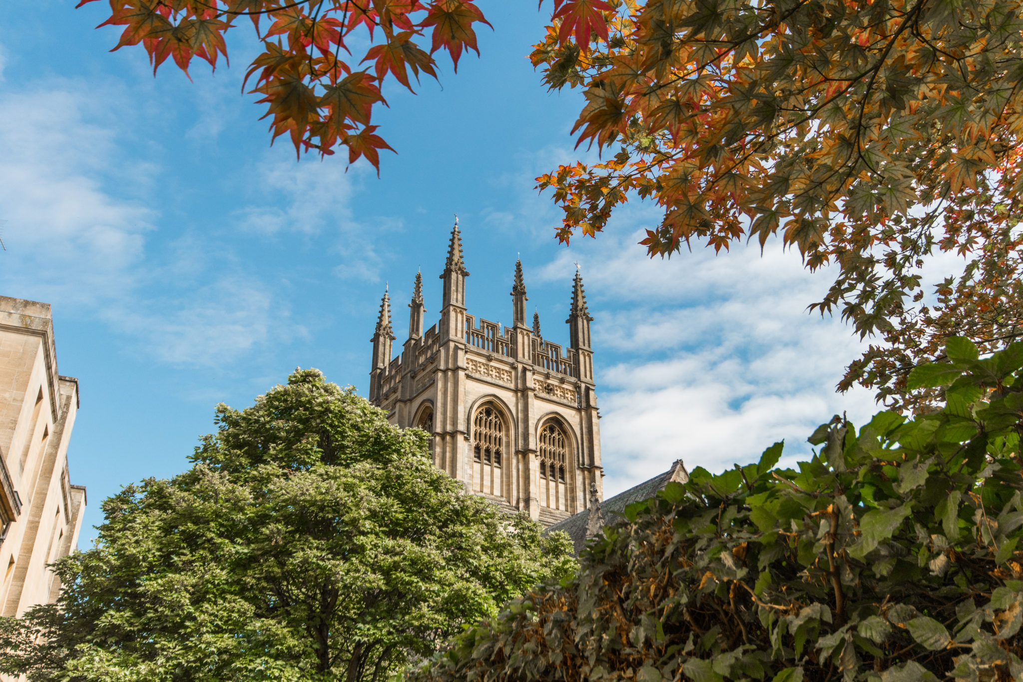 Colourful trees in Oxford, UK