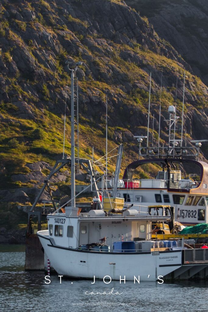 How to spend four days in St. John's, Canada