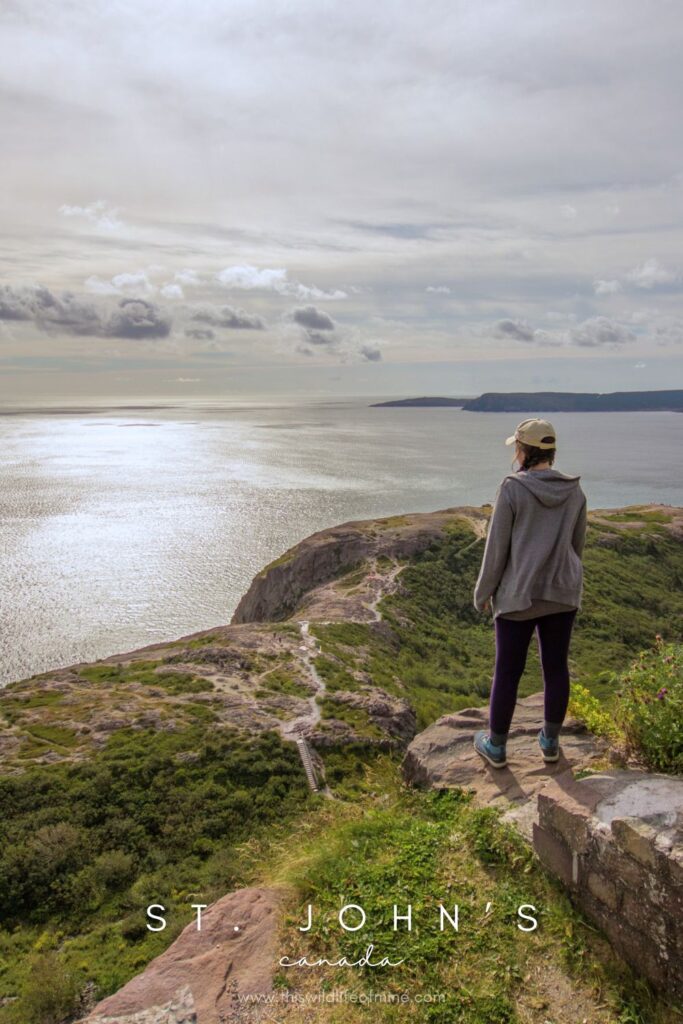 How to spend four days in St. John's, Canada