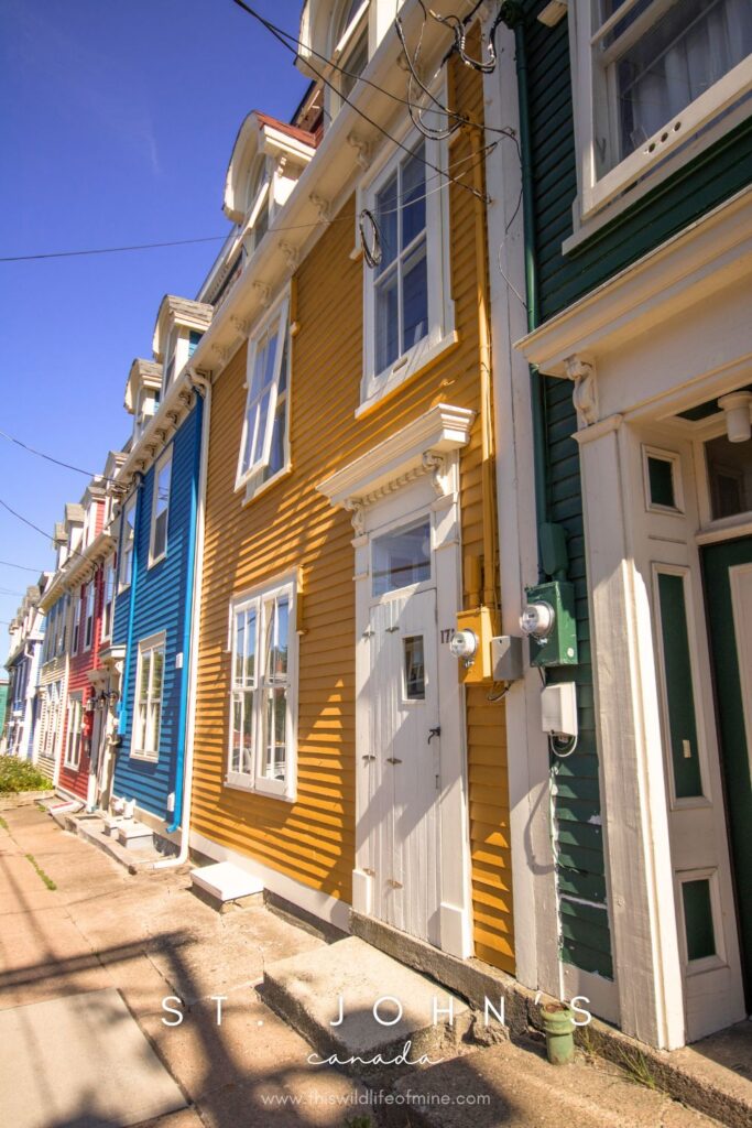 How to spend four days in St. John's, Canada